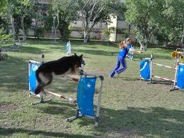 Agility.- Agility.-