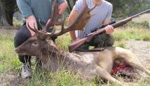 La Oficina Nacional de Caza pedirá al Gobierno que promueva la caza como Patrimonio de la Humanidad
