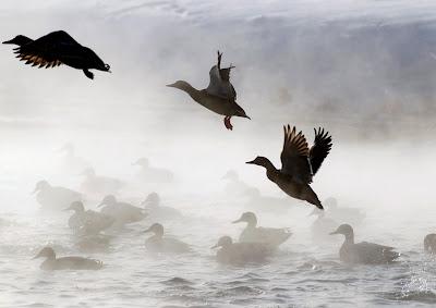 Imágenes del frío extremo de Europa Imágenes del frío extremo de Europa