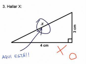 Los examenes más graciosos Los examenes más graciosos