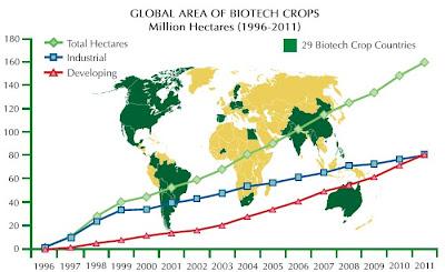 Transgénicos, cosecha del 2011 Transgénicos, cosecha del 2011