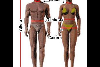 Dieta para perder peso abdominal rapido una Resuitado mismo: dieta para perder peso abdominal rapido pases