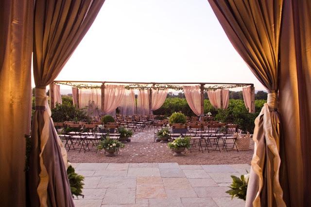 Espía bodas: Una boda entre viñedos. Espía bodas: Una boda entre viñedos.