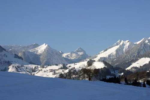 La velada del helecho (3ª parte) La velada del helecho (3ª parte)