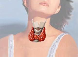 Para zonas quiero bajar de peso estoy dando de lactar Prximo quiero bajar de peso estoy dando de lactar jarabe