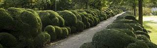 Jardines escultóricos (en verde)