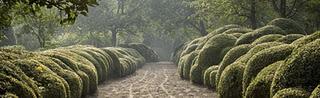 Jardines escultóricos (en verde)