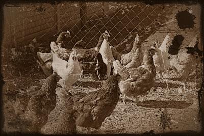 JUSTICIA CON DOS... CAPONES JUSTICIA CON DOS... CAPONES