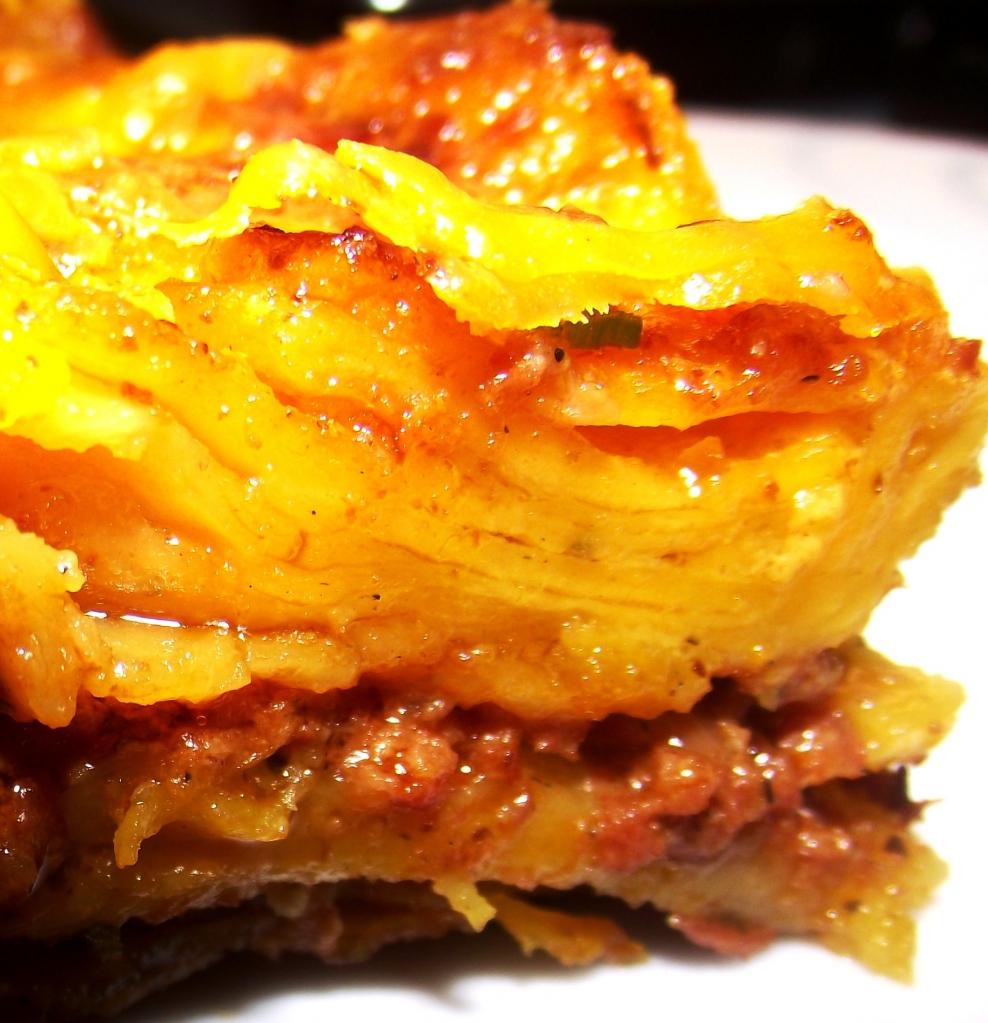 DSCF2142 ¡Lasagna “mil capas” fogoncito!