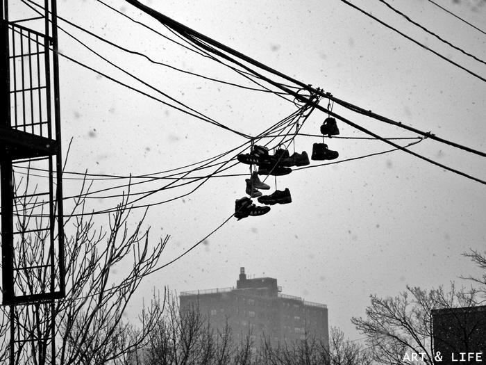 Contrastes de Nueva York Contrastes de Nueva York