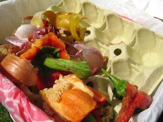 Genes extraños en nuestra comida Genes extraños en nuestra comida