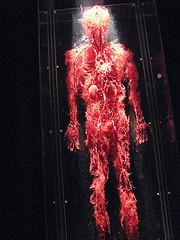 Circulatory System Circulatory System