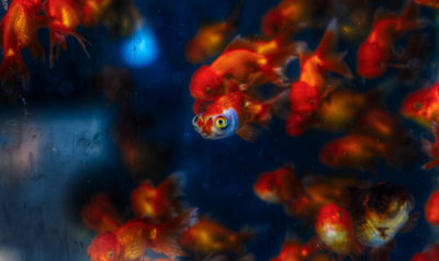 El paciente no es un cliente El paciente no es un cliente