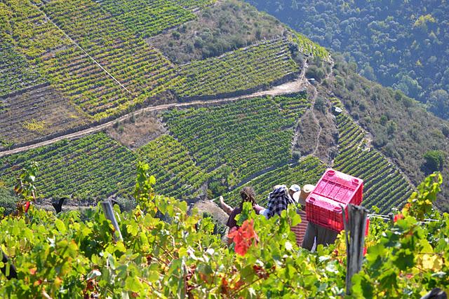 Hagamos que llueva Hagamos que llueva