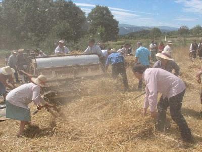 Hagamos que llueva Hagamos que llueva