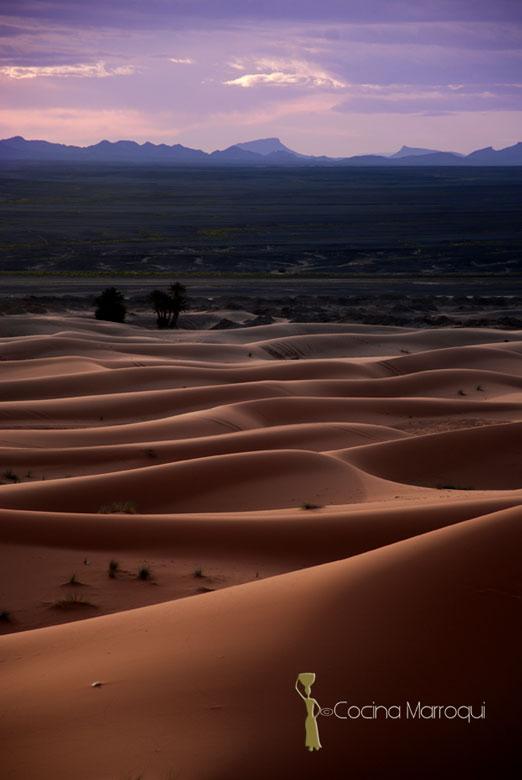 Kalia con ensalada Merk Hzina Kalia con ensalada Merk Hzina
