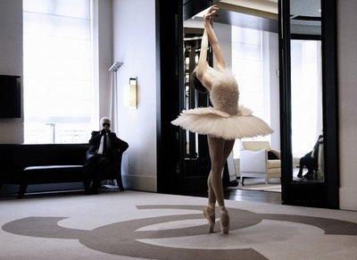 Chanel's curiosities Chanel's curiosities