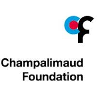 Becas para doctorado en Neurociencia Portugal 2012 Becas para doctorado en Neurociencia Portugal 2012