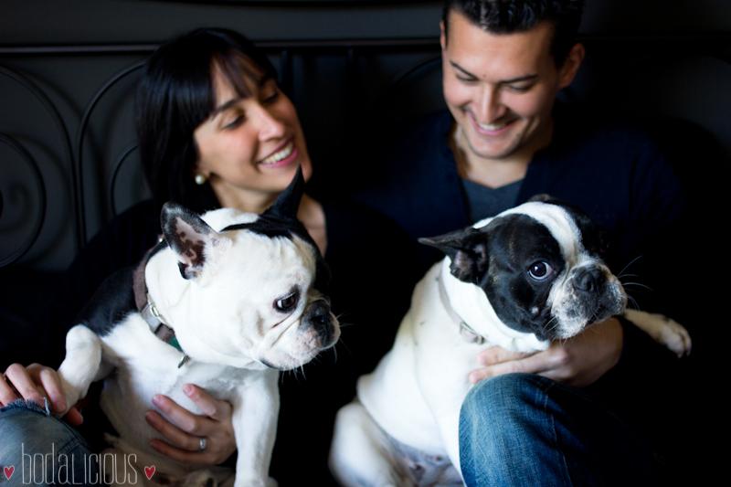 Un reportaje... ¡Bodalicious! Un reportaje... ¡Bodalicious!