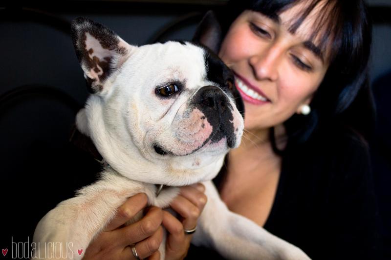 Un reportaje... ¡Bodalicious! Un reportaje... ¡Bodalicious!