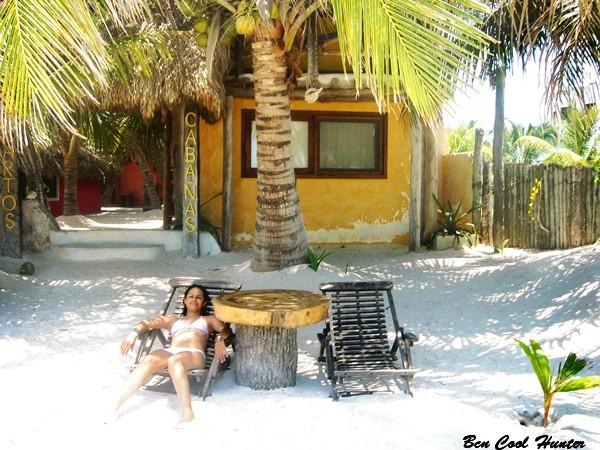 bienestar zico bienestar zico