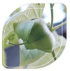 Full Repair con Giles Robinson Full Repair con Giles Robinson