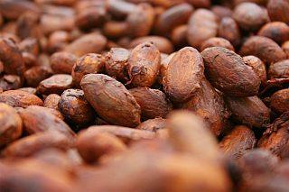 Hallan toxinas cancerígenas en chocolate con alta concentración de cacao