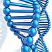Ejercicios de Leyes de Mendel DNA spiral