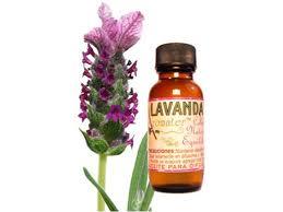 Francia-Receta Express-Crema facial de lavanda para pieles mixtas