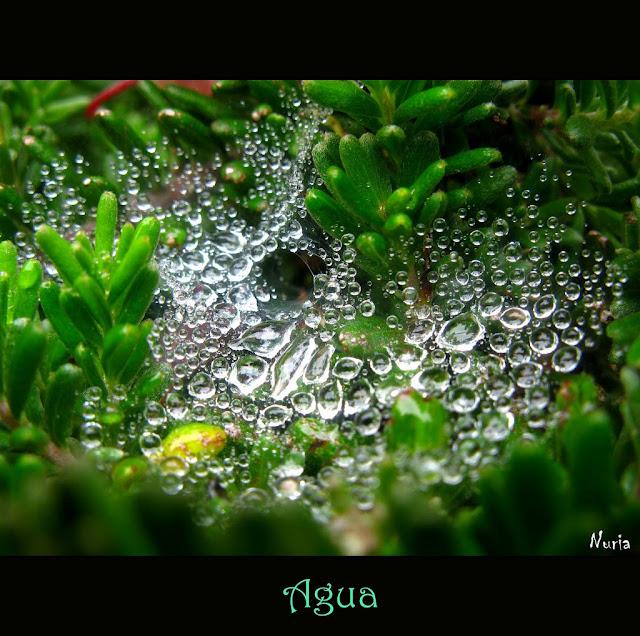 Hacer Sentir 3625849311_ecd6d59865_b.jpg