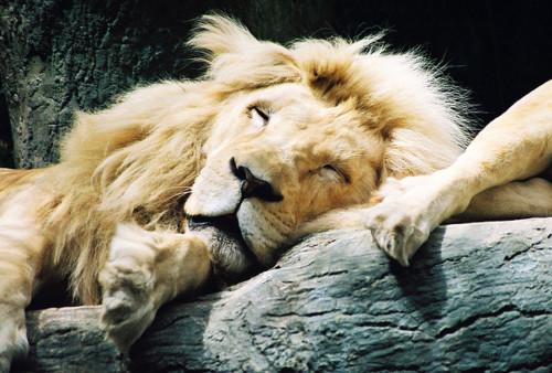 El Mundo se Transforma El Mundo se Transforma