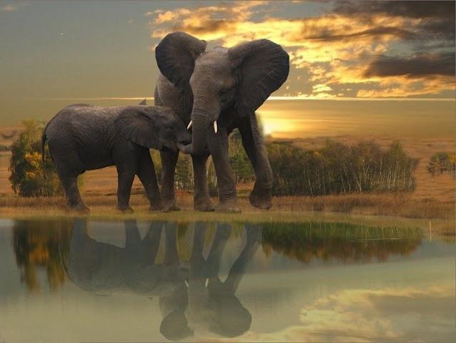 El Mundo se Transforma El Mundo se Transforma