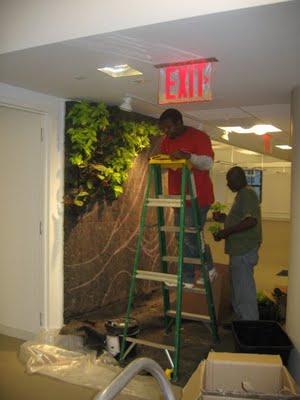 Comparativa entre sistemas constructivos de jardines verticales. Jardín vertical de interior.