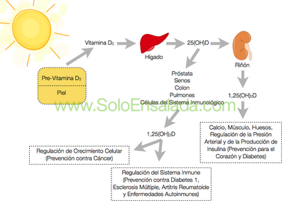 La hormona subestimada: Vitamina D