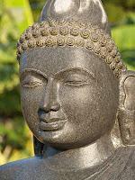 Adiestrar la mente Adiestrar la mente