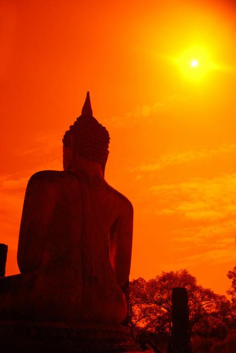 Adiestrar la mente Adiestrar la mente