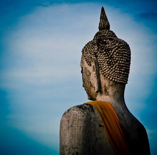 Adiestrar la mente Adiestrar la mente