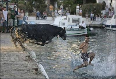 O trincamos todos o tiramos el aficionado al rio O trincamos todos o tiramos el aficionado al rio