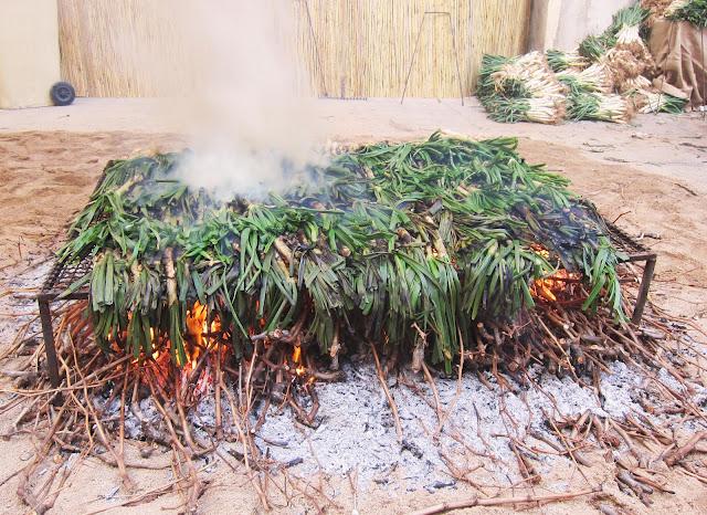 Calçotada de Valls 2012 Calçotada de Valls 2012