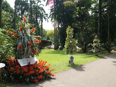 Jardín Botánico Singapur