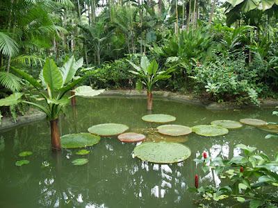 Jardín Botánico Singapur