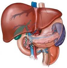 ¿Hay Esperanza Para Los Infectados Con El Virus De La Hepatitis C?