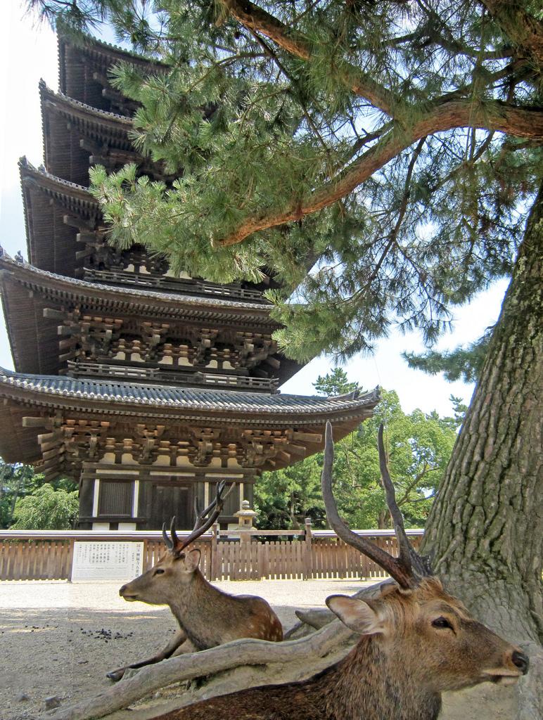 ¿Por qué las pagodas de Japón no se caen con los terremotos?