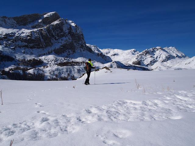 pico el mocosu pico el mocosu