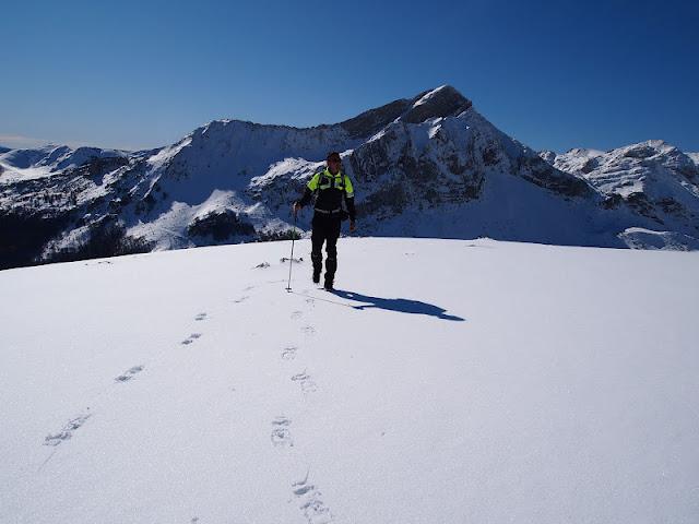 pico el mocosu pico el mocosu