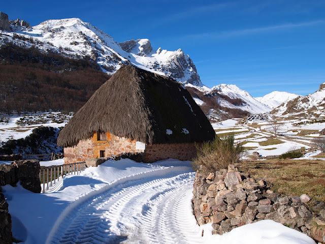 pico el mocosu pico el mocosu