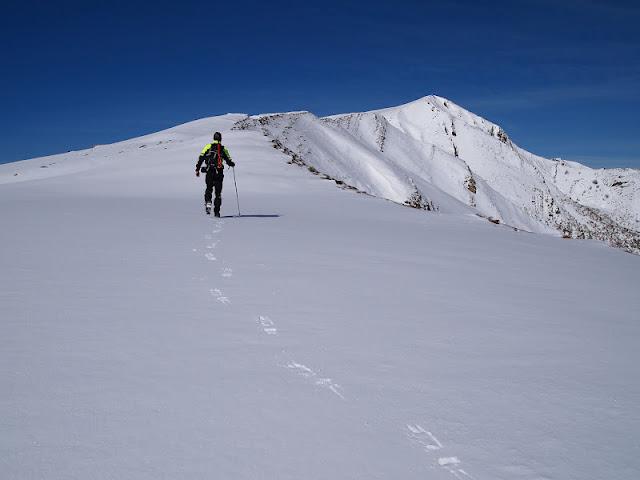 pico el mocosu pico el mocosu