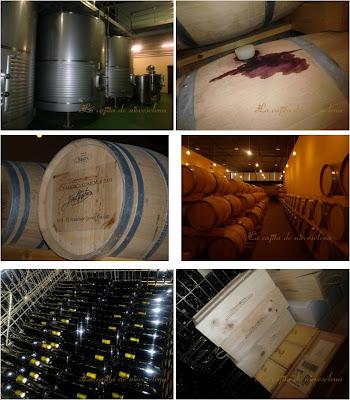 Matanza, vino y tierra. Enoturismo en la Ribera del Duero