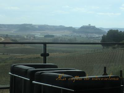 Matanza, vino y tierra. Enoturismo en la Ribera del Duero