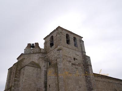 Matanza, vino y tierra. Enoturismo en la Ribera del Duero